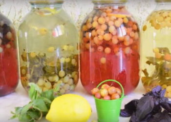 Kaip pasigaminti tobulą agrastų kompotą?