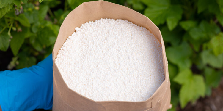 Kalio salietra agurkams: kada geriausia naudoti šias trąšas?