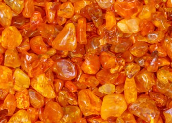 Gintaro rūgštis agurkams