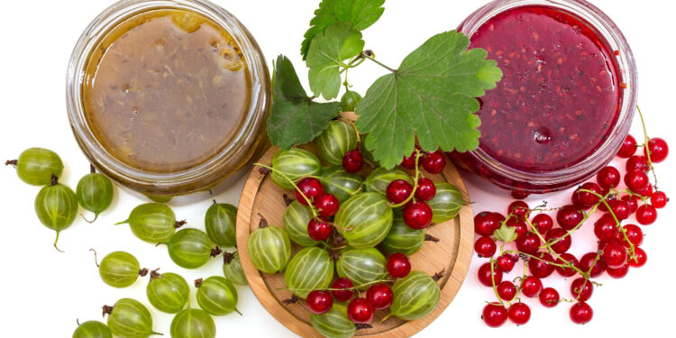 Vitaminų bomba žiemai