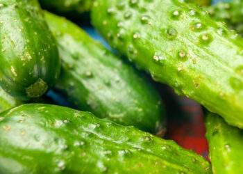 TOP 7 geriausi savidulkiai agurkai