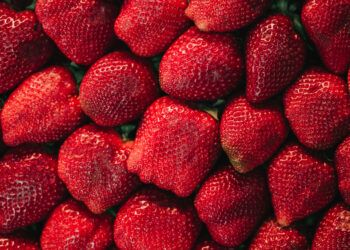 Saldžios braškių veislės