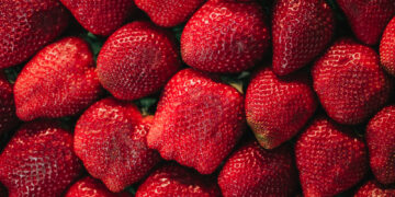 Saldžios braškių veislės