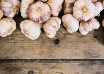 Žieminių česnakų nuėmimas