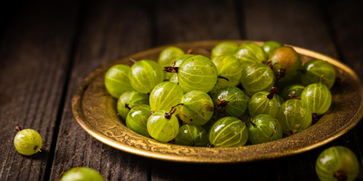 Kaip tinkamai užšaldyti agrastus žiemai