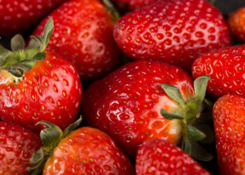 TOP 7 geriausios braškių veislės/daigai