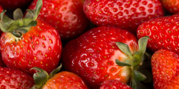 TOP 7 geriausios braškių veislės/daigai