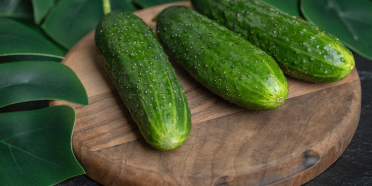 TOP 7 geriausi savidulkiai agurkai