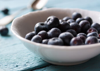 Šilauogės nauda organizmui