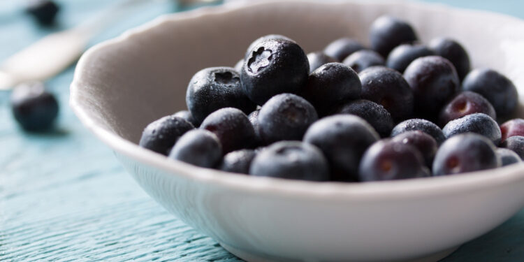 Šilauogės nauda organizmui