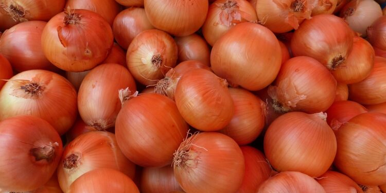 Svogūnų tręšimas karbamidu – kaip tai veikia derlių