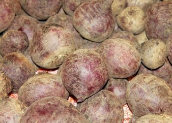 Labai skani burokėlių mišrainė žiemai – paprastas būdas pasiruošti atsargas