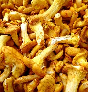 Voveraitės žiemai su pomidorų padažu – gardus ir sotus užkandis