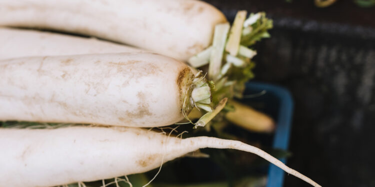 Žalių pastarnokų salotos – gaivus netikėtas skonis iš daržo