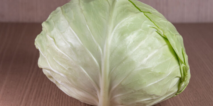 Virta kopūstų mišrainė žiemai – sotus gardumynas stiklainyje