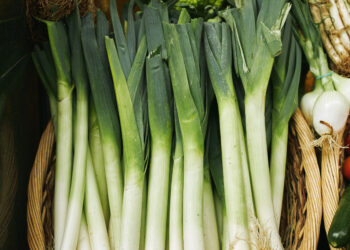 Porų salotos su majonezu – paprasta ir sotu