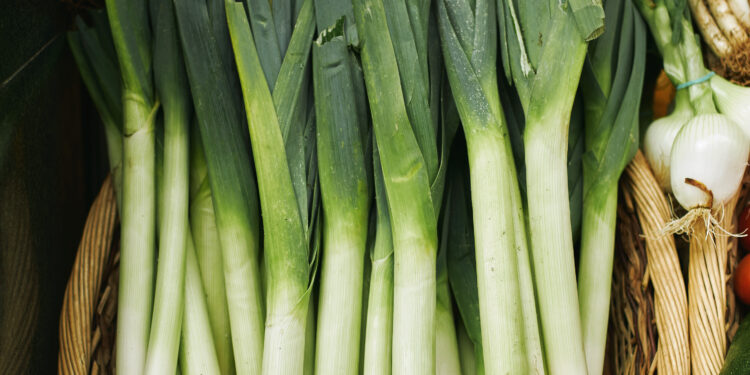 Porų salotos su majonezu – paprasta ir sotu