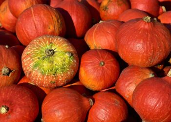 Marinuoti moliūgai žiemai receptas – patikrinta idėja žiemai