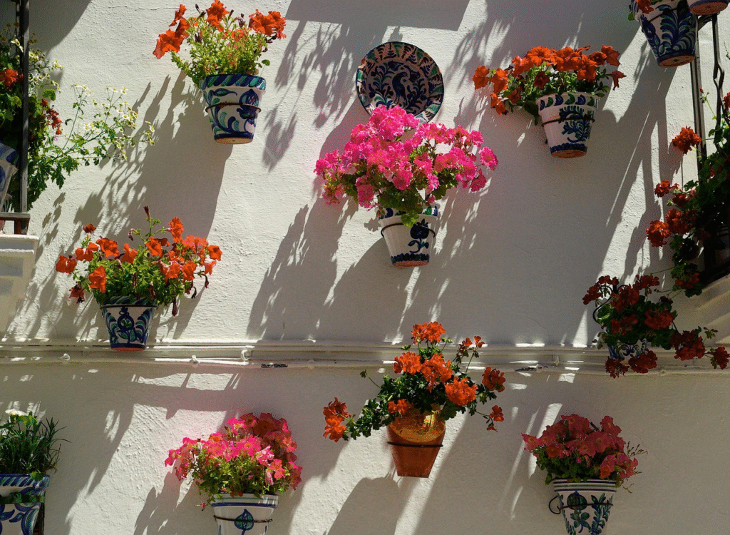 Kaip per žiemą išlaikyti pelargonijas: patikrinti būdai augintojams