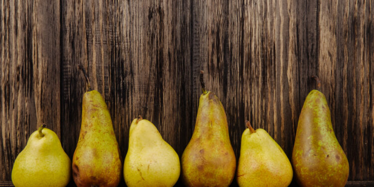 Kriaušių ligos: profilaktika ir priežiūros patarimai