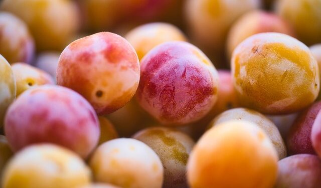 Slyvų veislės atsparios ligoms: ką rekomenduoja patyrę sodininkai