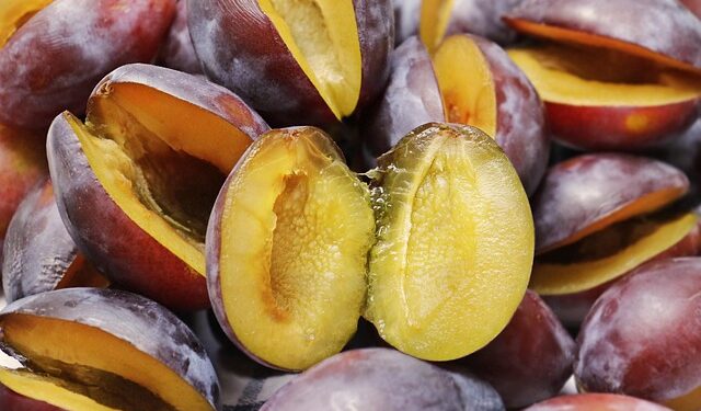 Slyvos žiemai – kaip paruošti ir išsaugoti derlių