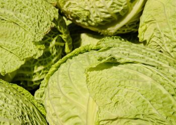 Kopūstų mišrainė žiemai – tradicinis receptas šeimos stalui