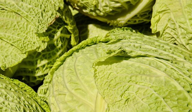 Kopūstų mišrainė žiemai – tradicinis receptas šeimos stalui