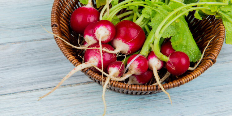 Baltojo ridiko salotos su majonezu – vitaminų kupinas patiekalas