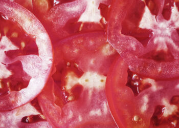 Agurkų ir pomidorų mišrainė žiemai: paprastas ir gardus receptas