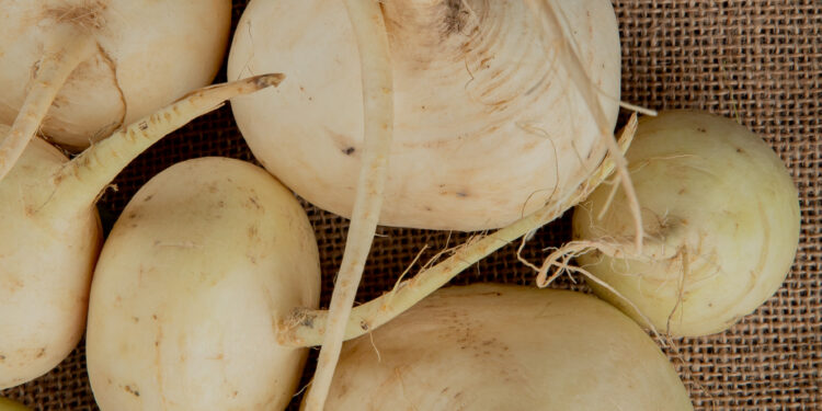 Topinambų ir morkų salotos – traški idėja kasdieniam stalui