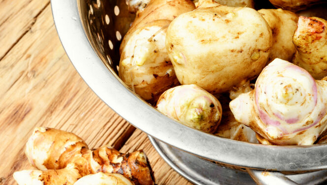 Topinambai kada kasti – kaip nepraleisti geriausio laiko