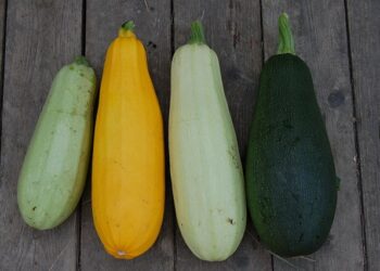 Cukinijų pomidorų ir paprikų mišrainė žiemai – skonių derinys, kuris nustebins