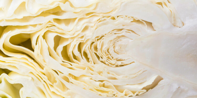 Žalių kopūstų mišrainė žiemai – natūralus vitaminų šaltinis stiklainyje