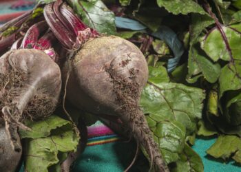 Burokėlių mišrainė su paprika žiemai – sodrus ir spalvingas derinys stiklainyje