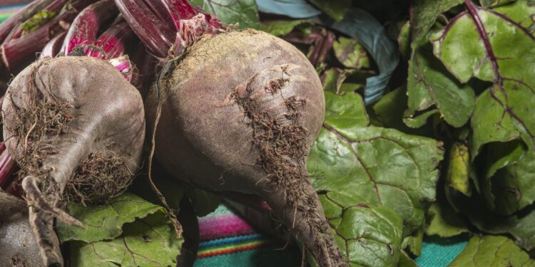 Burokėlių mišrainė su paprika žiemai – sodrus ir spalvingas derinys stiklainyje