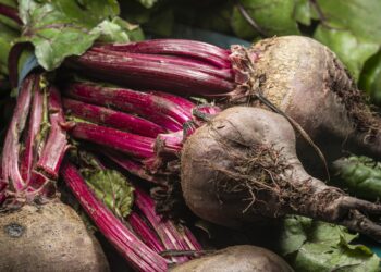 Močiutės burokėlių mišrainė žiemai – gardus ir sotus pasirinkimas žiemai