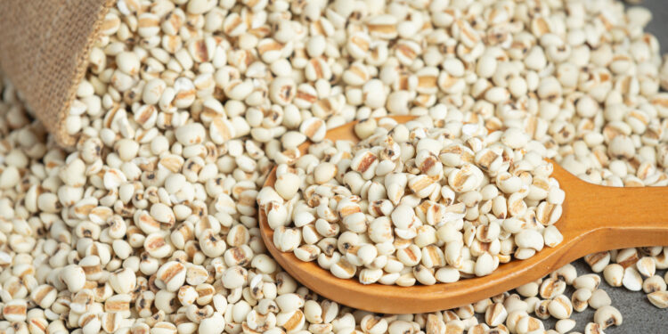 Perlinių kruopų mišrainė žiemai – paprasta, bet maistinga idėja