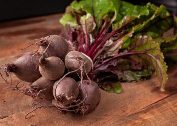 Virtų burokėlių mišrainė su pomidorais žiemai – gardus derinys šaltajam sezonui