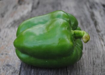 Žalių paprikų mišrainė žiemai – gardus pasirinkimas šeimos stalui