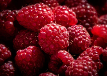 Kokia į avietę panaši uoga?