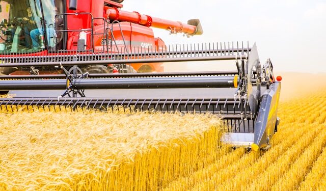 Kai kortos ant stalo: kaip derliaus ir technikos sprendimus priimti be azarto