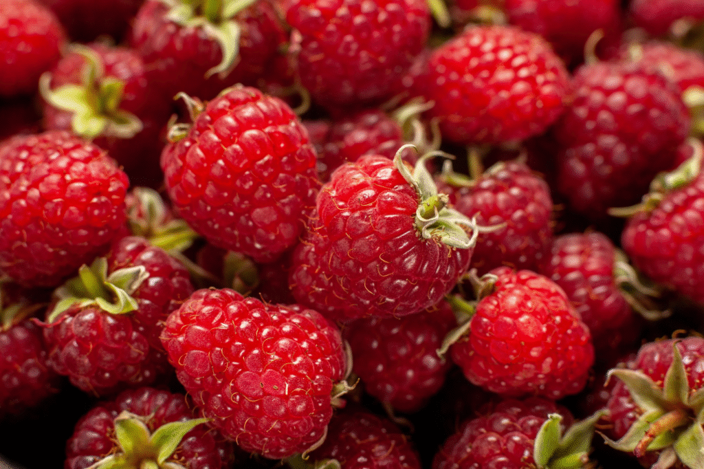 Aviečių tręšimas pavasarį: kuo tręšti, kad derlius būtų gausus