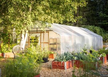 Kaip atlikti šiltnamio dezinfekciją pavasarį, kad derlius būtų sveikas
