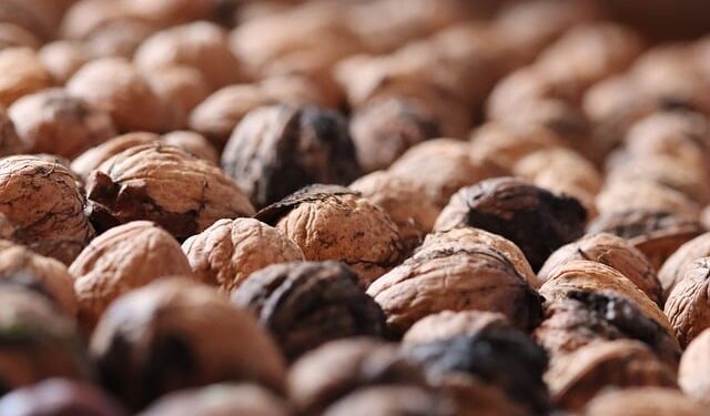 Naminiai graikiniai riešutai: kaip auginti ir prižiūrėti?