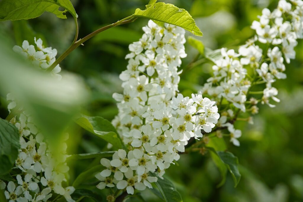 Laistymas – kada jo reikia, o kada žalos daugiau nei naudos?