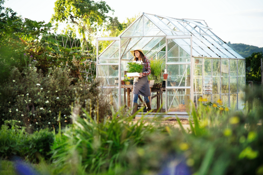 Šiltnamio paruošimas pavasarį: kaip tinkamai pasiruošti sėkmingam auginimui