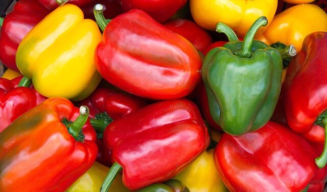 Kada sėti paprikas 2026 metais