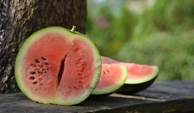 Kada sėti arbūzus 2026 metais