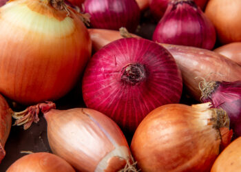 Kada sėti svogūnus 2026 metais